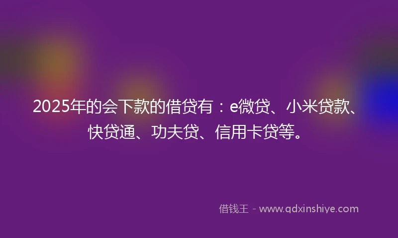 2025年的会下款的借贷有：e微贷、小米贷款、快贷通、功夫贷、信用卡贷等。