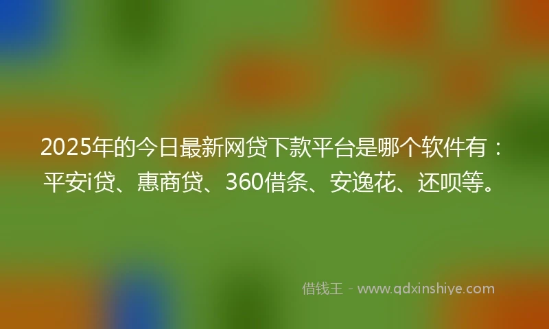 2025年的今日最新网贷下款平台是哪个软件有:平安i贷、惠商贷、360借条、安逸花、还呗等。