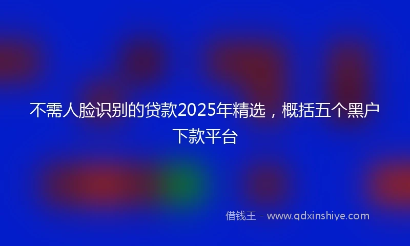 不需人脸识别的贷款2025年精选，概括五个黑户下款平台