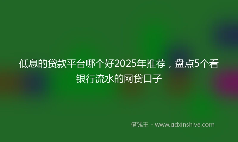 低息的贷款平台哪个好2025年推荐，盘点5个看银行流水的网贷口子
