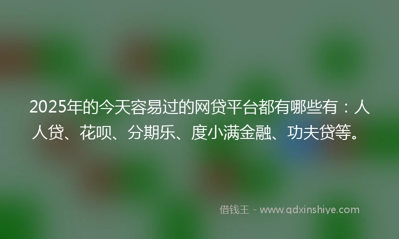 2025年的今天容易过的网贷平台都有哪些有：人人贷、花呗、分期乐、度小满金融、功夫贷等。