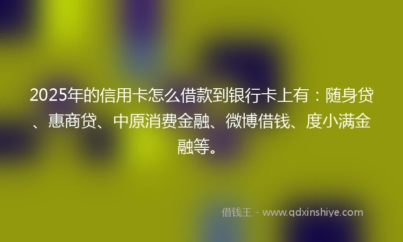 2025年的信用卡怎么借款到银行卡上有：随身贷、惠商贷、中原消费金融、微博借钱、度小满金融等。