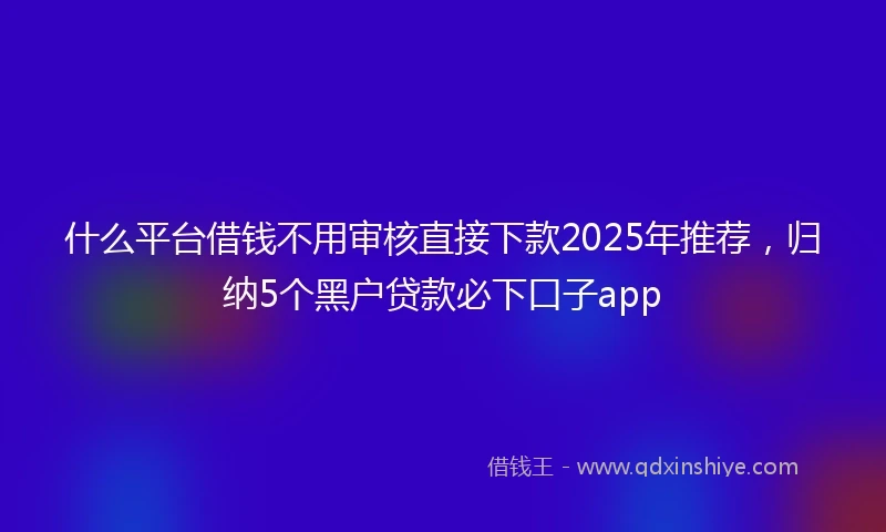 什么平台借钱不用审核直接下款2025年推荐，归纳5个黑户贷款必下口子app