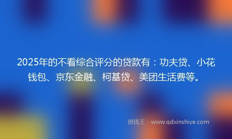 2025年的不看综合评分的贷款有：功夫贷、小花钱包、京东金融、柯基贷、美团生活费等。