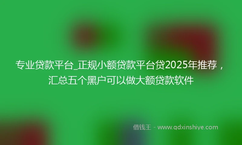 专业贷款平台_正规小额贷款平台贷2025年推荐，汇总五个黑户可以做大额贷款软件