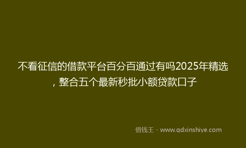 不看征信的借款平台百分百通过有吗2025年精选，整合五个最新秒批小额贷款口子