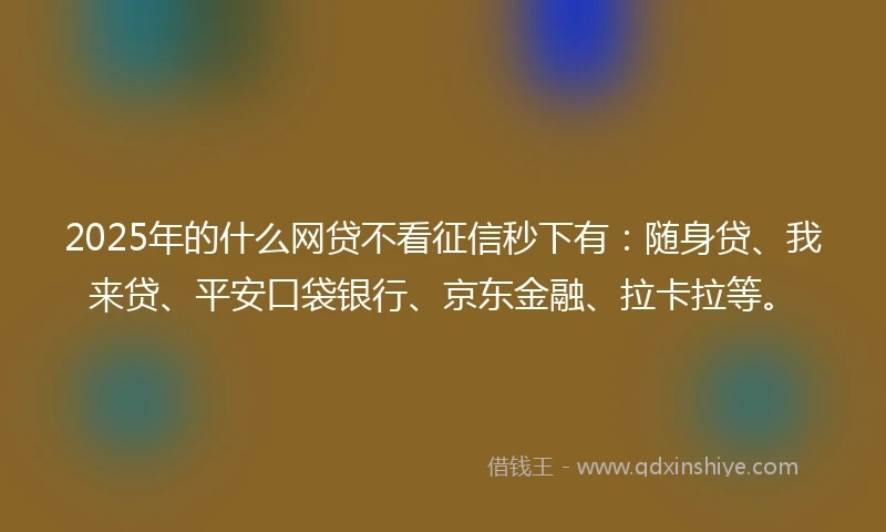 2025年的什么网贷不看征信秒下有：随身贷、我来贷、平安口袋银行、京东金融、拉卡拉等。