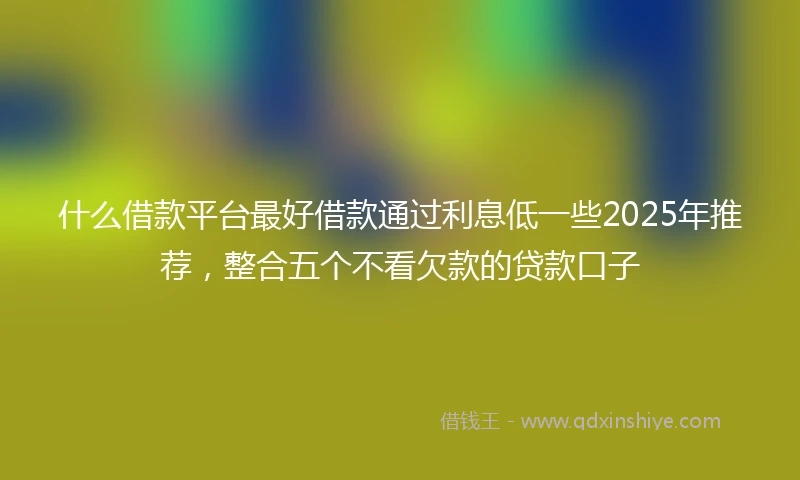 什么借款平台最好借款通过利息低一些2025年推荐，整合五个不看欠款的贷款口子