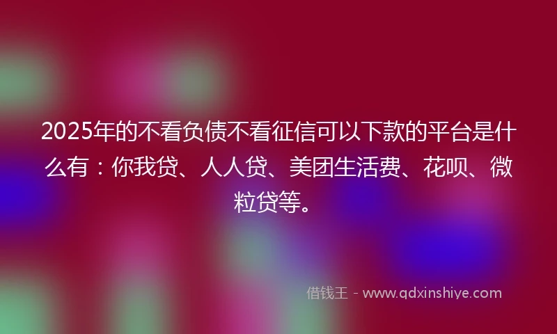 2025年的不看负债不看征信可以下款的平台是什么有：你我贷、人人贷、美团生活费、花呗、微粒贷等。