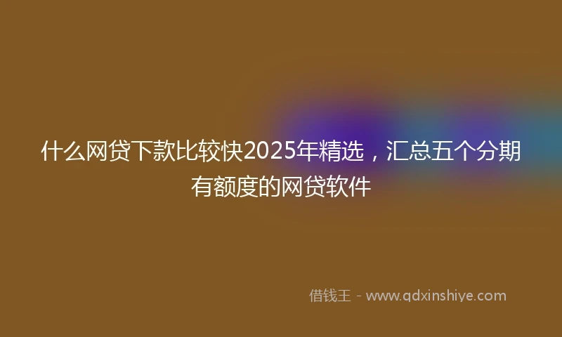 什么网贷下款比较快2025年精选，汇总五个分期有额度的网贷软件