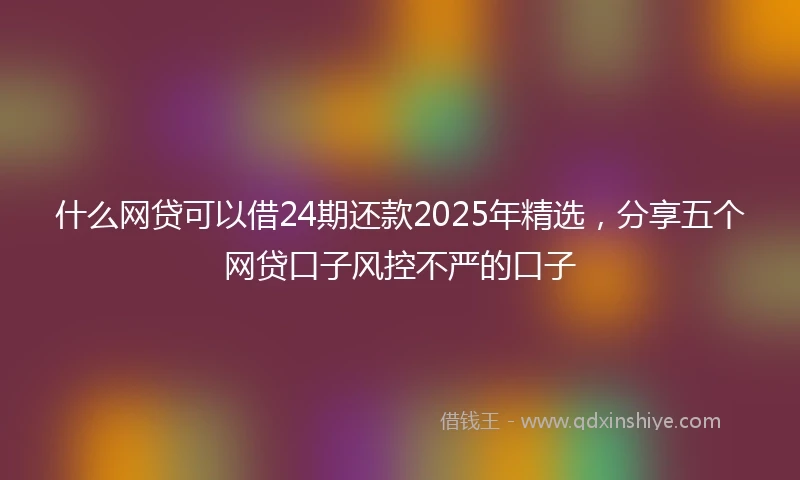 什么网贷可以借24期还款2025年精选，分享五个网贷口子风控不严的口子
