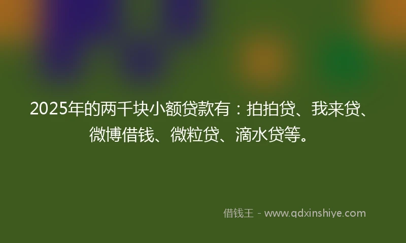 2025年的两千块小额贷款有：拍拍贷、我来贷、微博借钱、微粒贷、滴水贷等。