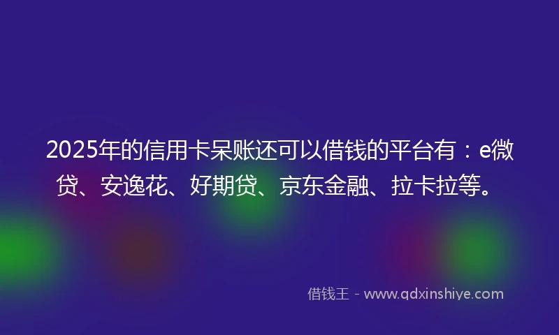 2025年的信用卡呆账还可以借钱的平台有：e微贷、安逸花、好期贷、京东金融、拉卡拉等。