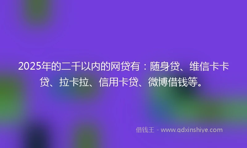 2025年的二千以内的网贷有：随身贷、维信卡卡贷、拉卡拉、信用卡贷、微博借钱等。