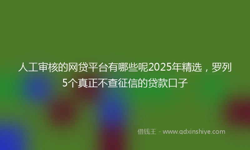 人工审核的网贷平台有哪些呢2025年精选，罗列5个真正不查征信的贷款口子