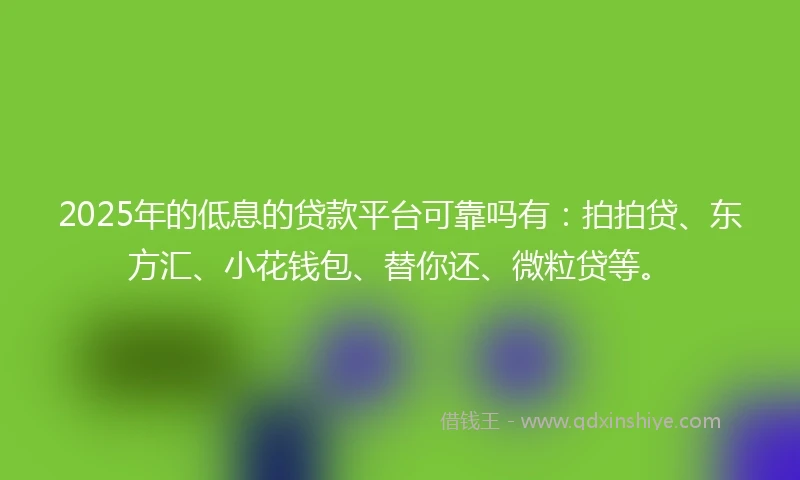 2025年的低息的贷款平台可靠吗有：拍拍贷、东方汇、小花钱包、替你还、微粒贷等。