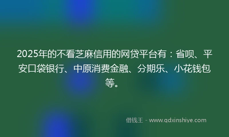 2025年的不看芝麻信用的网贷平台有：省呗、平安口袋银行、中原消费金融、分期乐、小花钱包等。