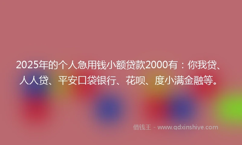 2025年的个人急用钱小额贷款2000有：你我贷、人人贷、平安口袋银行、花呗、度小满金融等。
