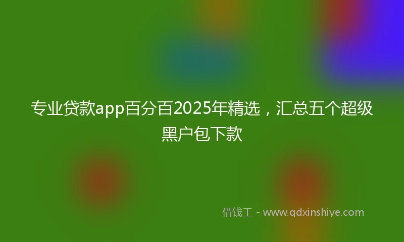 专业贷款app百分百2025年精选，汇总五个超级黑户包下款