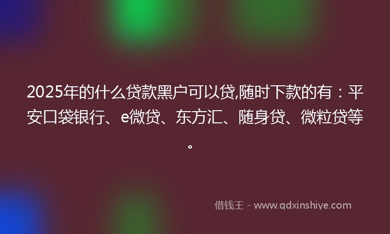 2025年的什么贷款黑户可以贷,随时下款的有：平安口袋银行、e微贷、东方汇、随身贷、微粒贷等。
