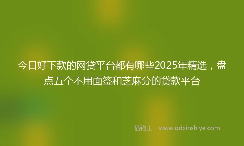 今日好下款的网贷平台都有哪些2025年精选，盘点五个不用面签和芝麻分的贷款平台