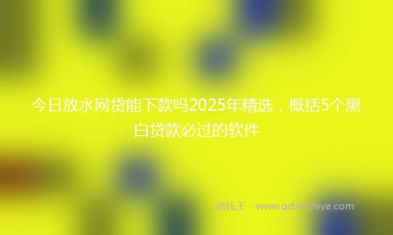 今日放水网贷能下款吗2025年精选，概括5个黑白贷款必过的软件