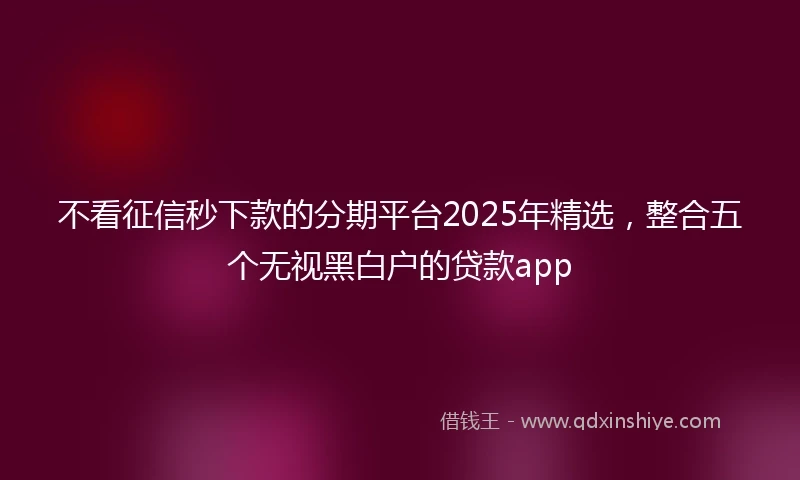 不看征信秒下款的分期平台2025年精选，整合五个无视黑白户的贷款app