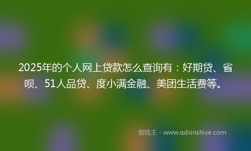 2025年的个人网上贷款怎么查询有：好期贷、省呗、51人品贷、度小满金融、美团生活费等。