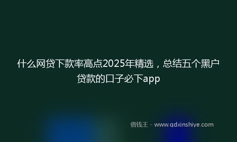 什么网贷下款率高点2025年精选，总结五个黑户贷款的口子必下app