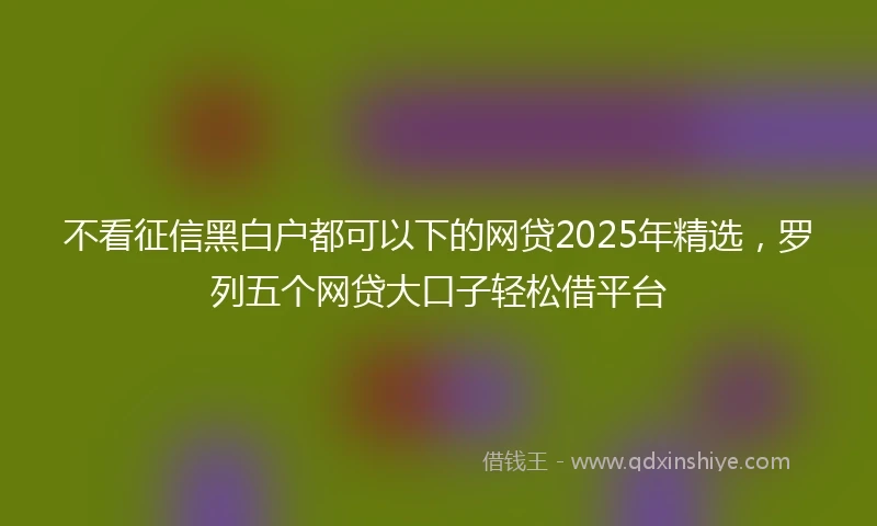 不看征信黑白户都可以下的网贷2025年精选，罗列五个网贷大口子轻松借平台