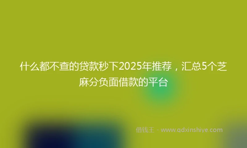 什么都不查的贷款秒下2025年推荐，汇总5个芝麻分负面借款的平台