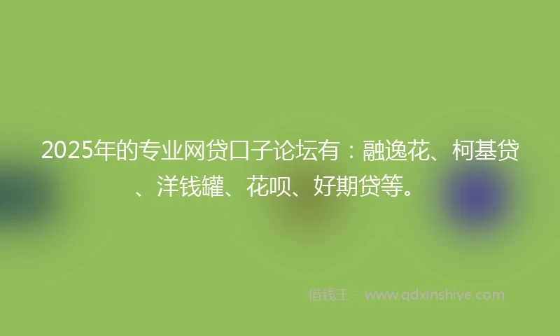 2025年的专业网贷口子论坛有：融逸花、柯基贷、洋钱罐、花呗、好期贷等。