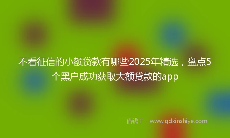 不看征信的小额贷款有哪些2025年精选，盘点5个黑户成功获取大额贷款的app