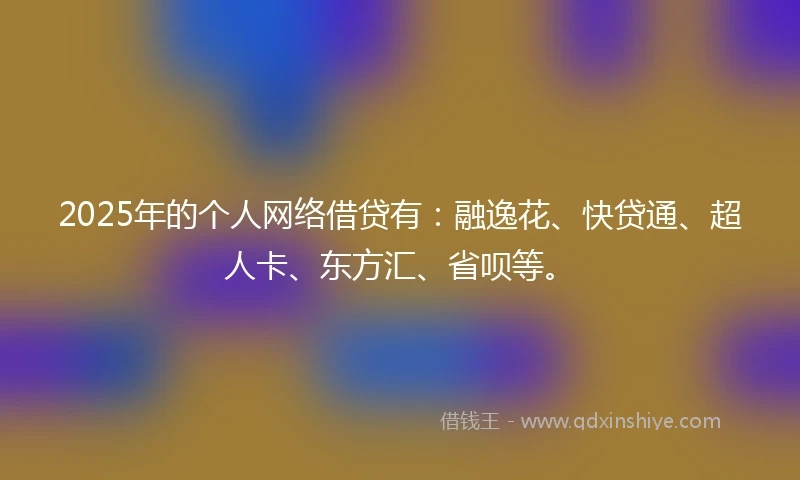 2025年的个人网络借贷有：融逸花、快贷通、超人卡、东方汇、省呗等。