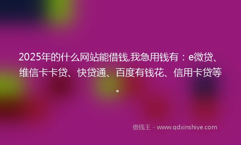 2025年的什么网站能借钱,我急用钱有：e微贷、维信卡卡贷、快贷通、百度有钱花、信用卡贷等。