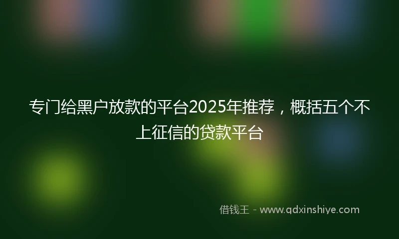 专门给黑户放款的平台2025年推荐，概括五个不上征信的贷款平台