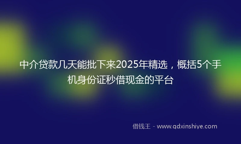 中介贷款几天能批下来2025年精选，概括5个手机身份证秒借现金的平台