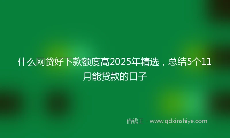 什么网贷好下款额度高2025年精选，总结5个11月能贷款的口子