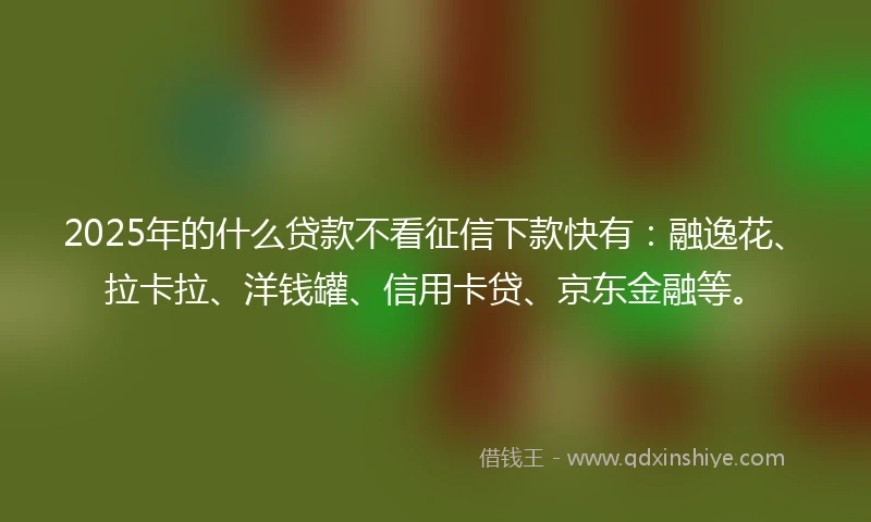 2025年的什么贷款不看征信下款快有：融逸花、拉卡拉、洋钱罐、信用卡贷、京东金融等。