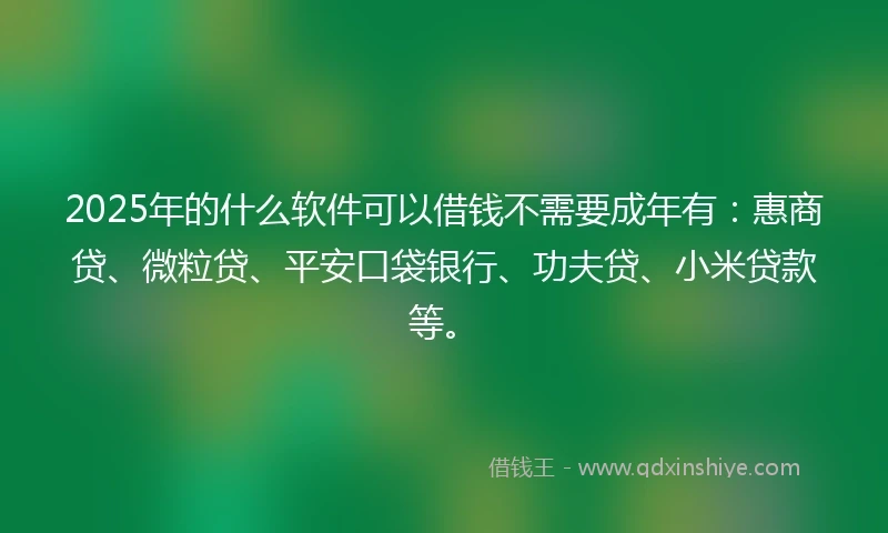 2025年的什么软件可以借钱不需要成年有：惠商贷、微粒贷、平安口袋银行、功夫贷、小米贷款等。