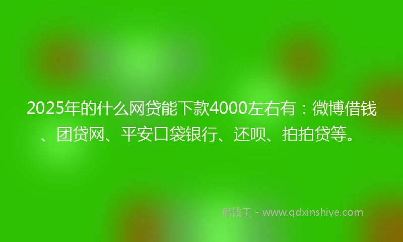 2025年的什么网贷能下款4000左右有：微博借钱、团贷网、平安口袋银行、还呗、拍拍贷等。
