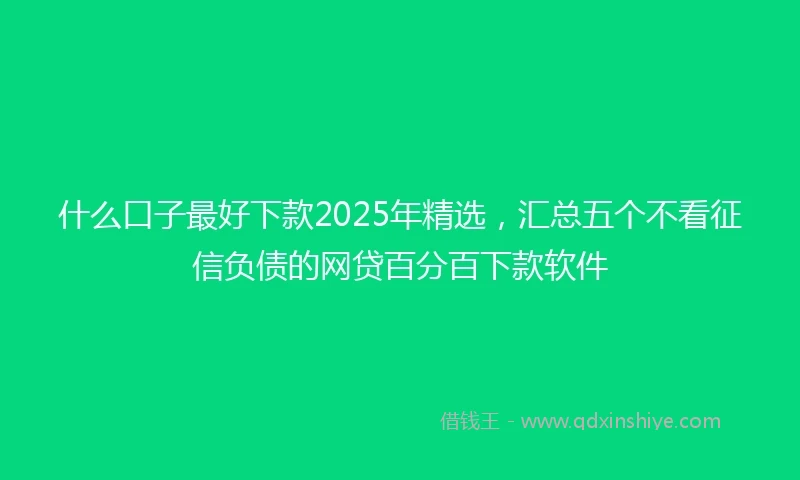 什么口子最好下款2025年精选，汇总五个不看征信负债的网贷百分百下款软件
