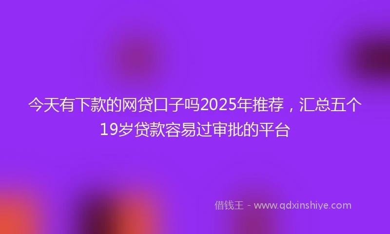 今天有下款的网贷口子吗2025年推荐，汇总五个19岁贷款容易过审批的平台