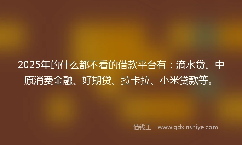 2025年的什么都不看的借款平台有：滴水贷、中原消费金融、好期贷、拉卡拉、小米贷款等。
