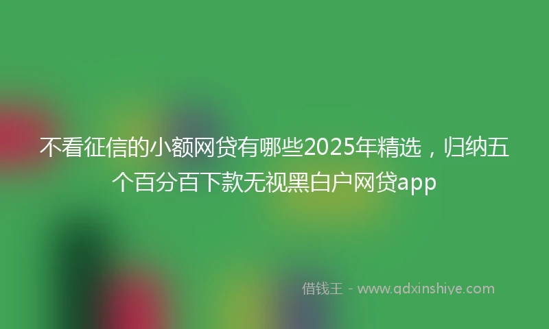 不看征信的小额网贷有哪些2025年精选，归纳五个百分百下款无视黑白户网贷app