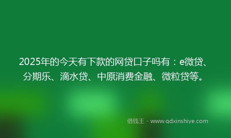 2025年的今天有下款的网贷口子吗有：e微贷、分期乐、滴水贷、中原消费金融、微粒贷等。
