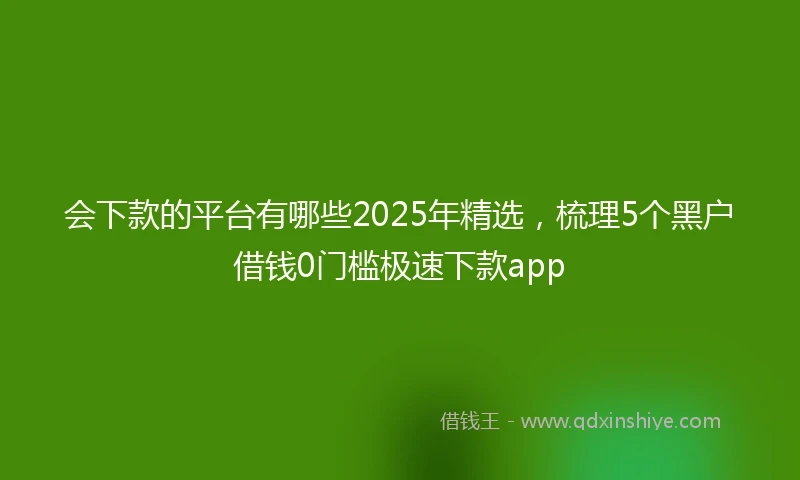 会下款的平台有哪些2025年精选，梳理5个黑户借钱0门槛极速下款app