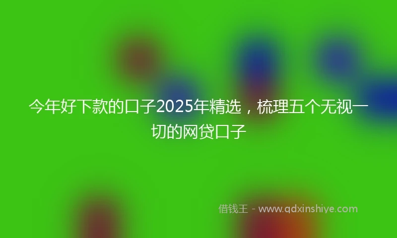 今年好下款的口子2025年精选，梳理五个无视一切的网贷口子