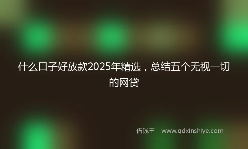 什么口子好放款2025年精选，总结五个无视一切的网贷