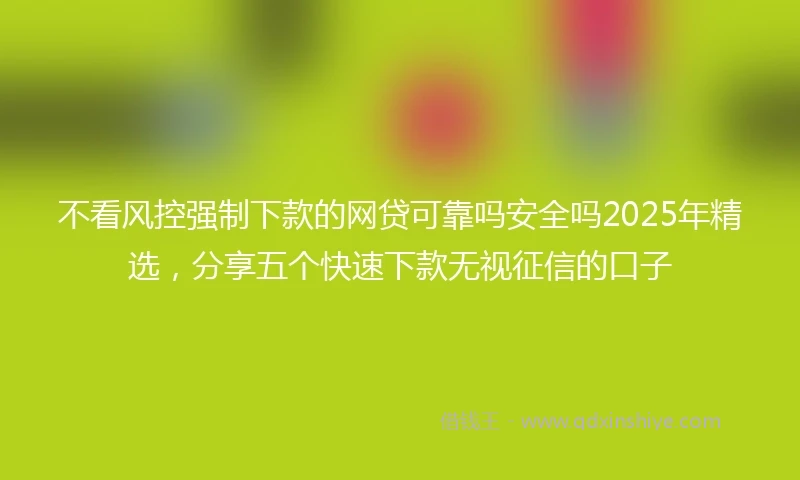 不看风控强制下款的网贷可靠吗安全吗2025年精选，分享五个快速下款无视征信的口子